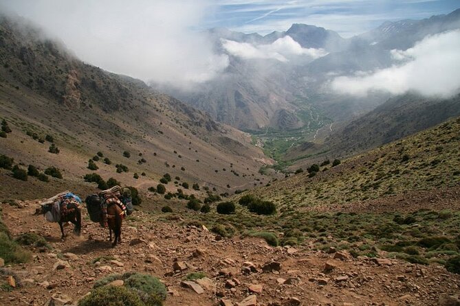 1-Day tripTour from Marrakech to Imlil in Atlas Mountains - From Marrakech to the High Atlas in two hours