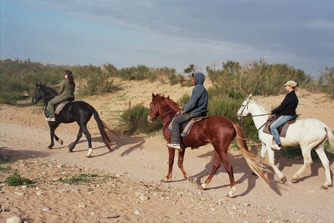 1 hour horse ride on the beach of essaouira - The first stretch beside Essaouira’s Atlantic shore