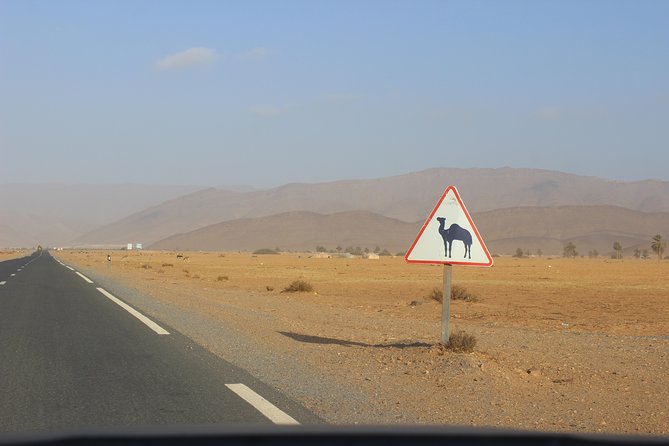 1 night in desert from Agadir - Guelmim, the gateway toward the desert