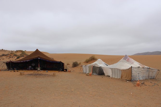 1 night in desert from Agadir - A night of tagine, music, and stars