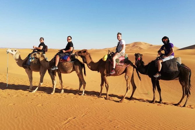 10 Days private Morocco tour from Marrakech - Day 7: Rose Valley, Ouarzazate, and Ait Ben Haddou