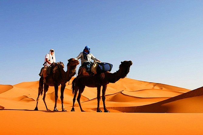 10 Days Tour From Casablanca, Morocco - Day 2: Rabat’s royal monuments and blue Chefchaouen
