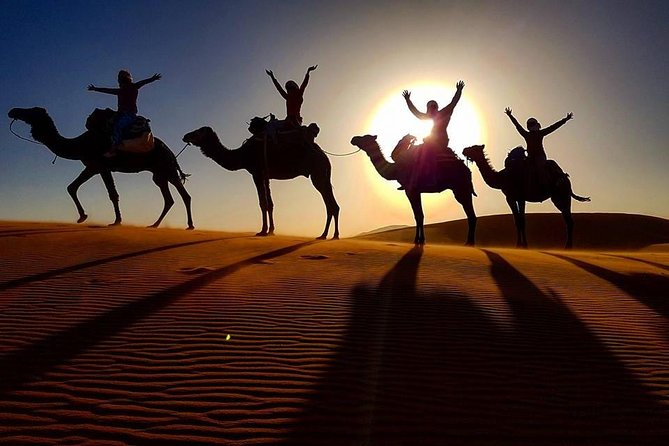 12 Days From Casablanca- Cultural Immersion Tour - Why this private route works well