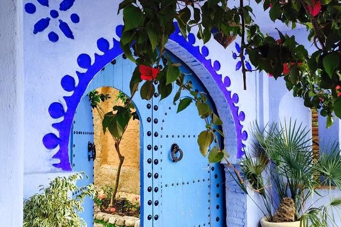 12 Days From Casablanca- Cultural Immersion Tour - Day 7: Camels and one night in the desert