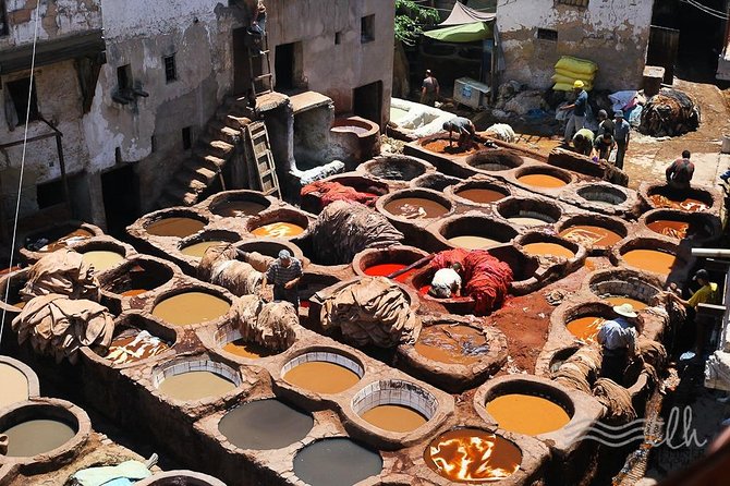 12 Days From Casablanca- Cultural Immersion Tour - Day 8: Todra Gorges, Dades Gorges, and Skoura