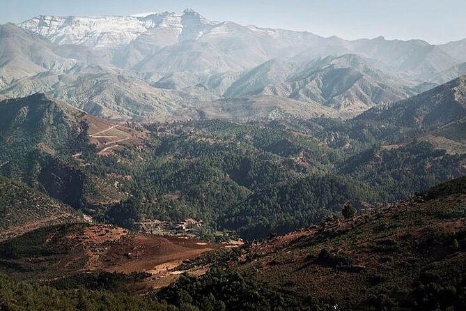 12 Days Private Luxury Sightseeing Tour in Morocco - Cedar forests and the long approach to Merzouga
