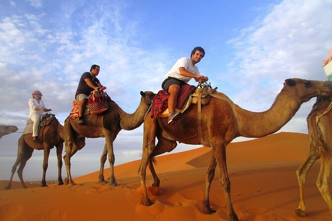 12 Days Private Luxury Sightseeing Tour in Morocco - Fes, with time for the labyrinth