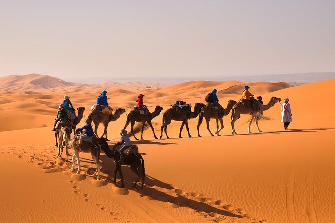 15 Days Morocco Private Grand Tour From North To South Starting From Casablanca - Volubilis, Moulay Idriss, and Meknes on the road to Fez