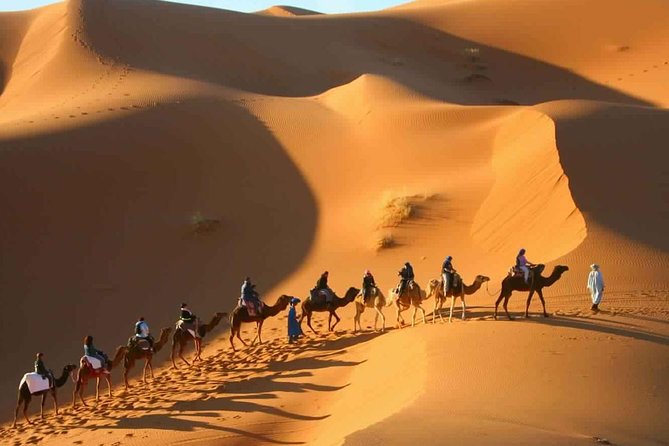 2 Day Desert Tour From Marrakech through the Atlas Mountains & Camel ride - The Draa Valley adds scenery to the long drive