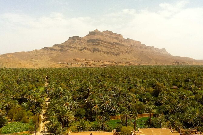 2-Day Desert Tour from Marrakech to Zagora Private & Luxury - Reaching Zagora by camel