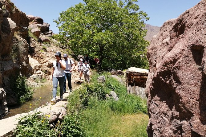 2-Day Guided Trek of the Atlas Mountains and Berber Villages - Climbing Tizi Mzik at 2,684 meters
