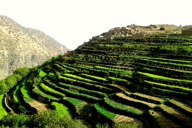 2-Day Guided Trek of the Atlas Mountains and Berber Villages - An Overnight Stay in Tizi Oussem