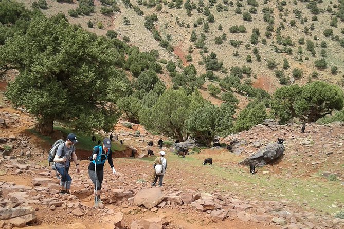 2-Day Guided Trek of the Atlas Mountains and Berber Villages - The Guides Make the Difference