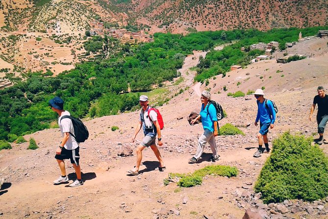 2-Day Guided Trek of the Atlas Mountains and Berber Villages - Tamsoulte Waterfalls and the Juniper Forest