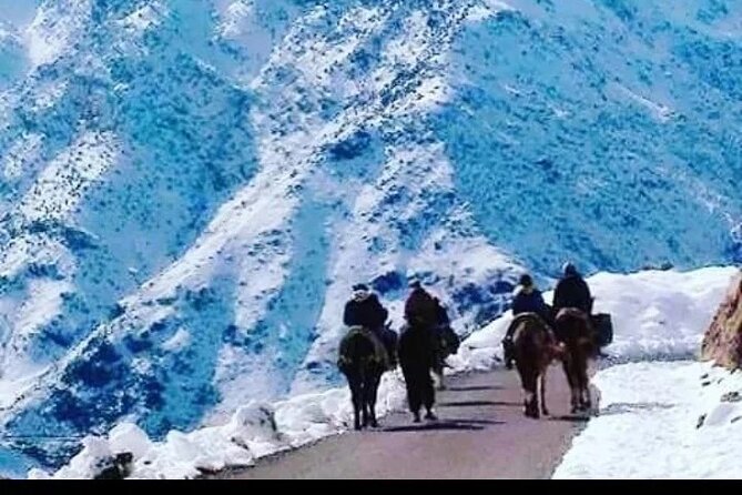 2-Day Jebel Toubkal Trek From Marrakech - Summit day at 4,167 meters