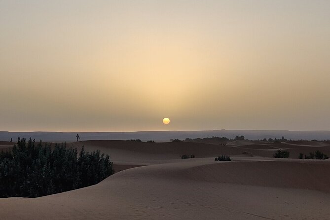 2 Day Luxury Desert Tour from Fes to Fes or Marrakech - Camel riding into Erg Chebbi at sunset