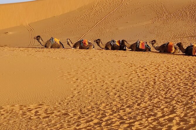 2 Day Luxury Desert Tour from Fes to Fes or Marrakech - Is $127.76 a good price?