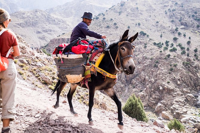 2 day mount toubkal trek ( private trek ) - Key points before you book