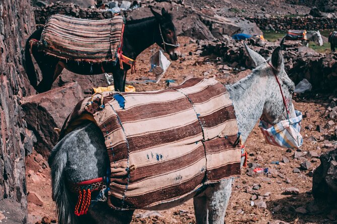 2 day mount toubkal trek ( private trek ) - Back to the refuge, then three hours to Imlil