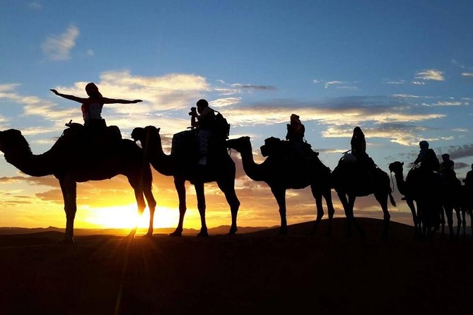 2-Day Zagora Desert Tour from Marrakech - Ouarzazate and the movie-making detour