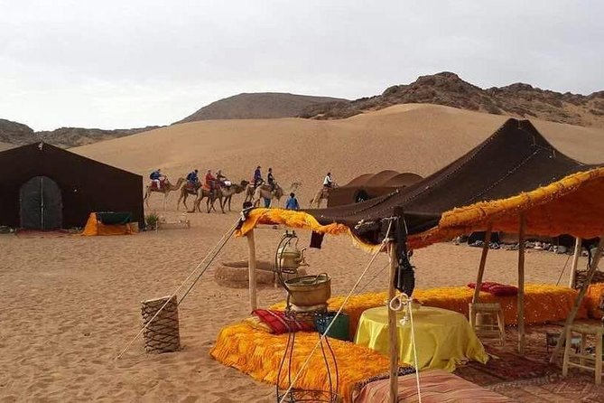 2-Day Zagora Tour from Marrakech Including the Atlas Mountains, Camel Trek and Desert Camp - What this two-day Zagora trip really offers