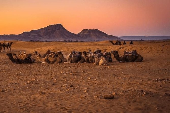 2 Days 1 Night Amazing Zagora Desert Tour From Marrakech - Ouarzazate and the road to Zagora