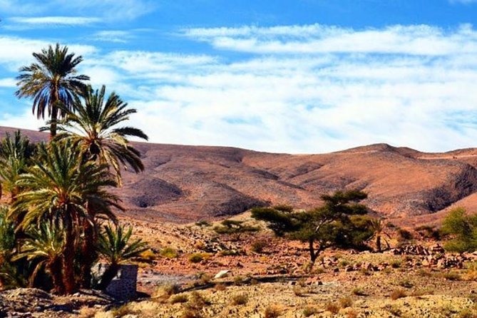 2 Days 1 Night Amazing Zagora Desert Tour From Marrakech - The Zagora camel ride at sunset