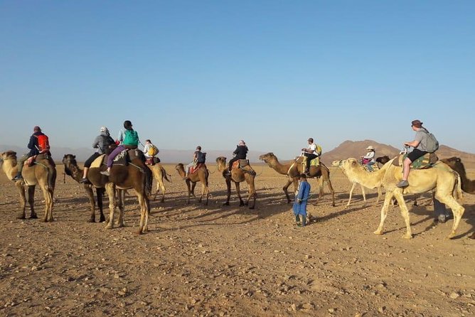 2 Days 1 Night To Zagora Desert From Marrakech - The Draa Valley and its palm groves