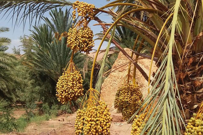 2 Days 1 Night To Zagora Desert From Marrakech - Dinner, music, and sleeping in the tent