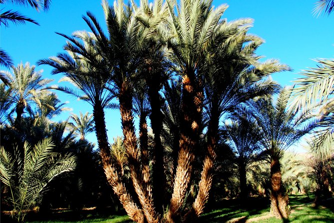 2 Days 1 Night To Zagora Desert From Marrakech - Day two through Ouarzazate