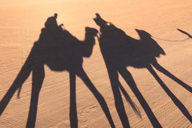 2-Days Desert Tours from Fes with Overnight in Luxury Camp - Sunrise over the dunes and the ride back