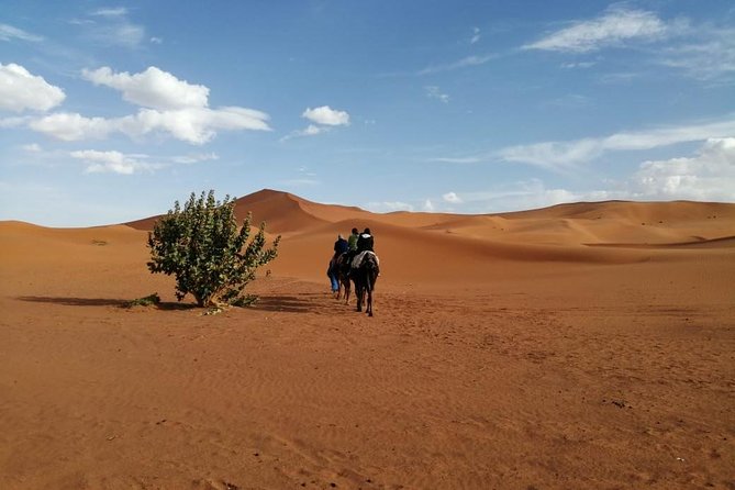2 Days Fes Desert trip Overnight Erg chebbi End up Fes/Marrakech - Returning to Fes or continuing to Marrakech