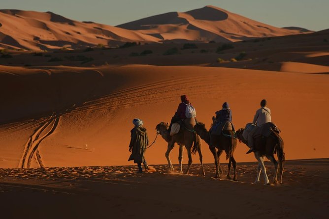 2 Days Fes Desert trip Overnight Erg chebbi End up Fes/Marrakech - Ifrane and the Atlas Mountain crossing