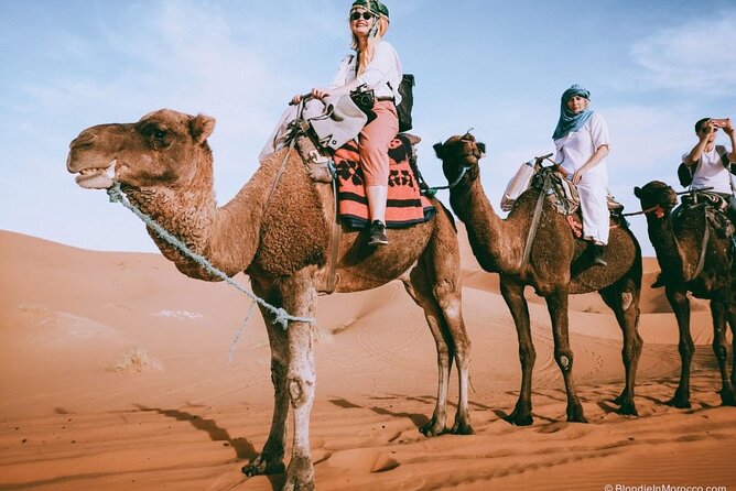 2 days luxury desert trip [fes to fes or marakech] - Arriving at Erg Chebbi and the camel ride