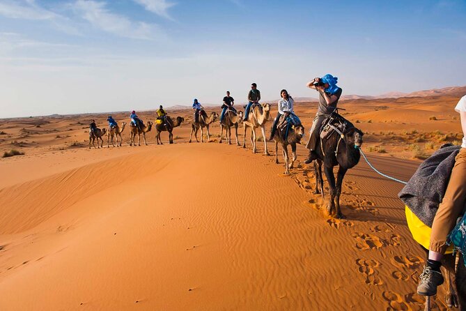 2 Days Sahara Group Tour Fez to Marrakech via Merzouga - Ifrane and the Middle Atlas: the first change of scenery