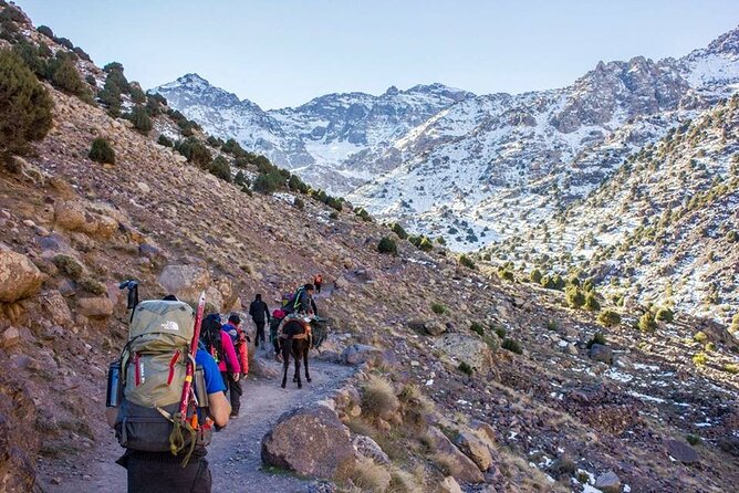 2-Days Toubkal Trek from Marrakech with Local Guide - Summit morning in Toubkal National Park