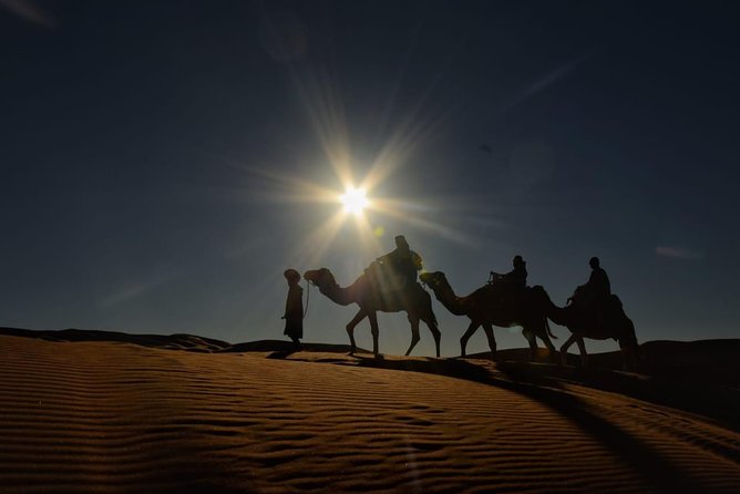 2 Days Trip from Fes to Merzouga with Overnight in Desert Camp - Ziz Oasis and the first sight of the desert region