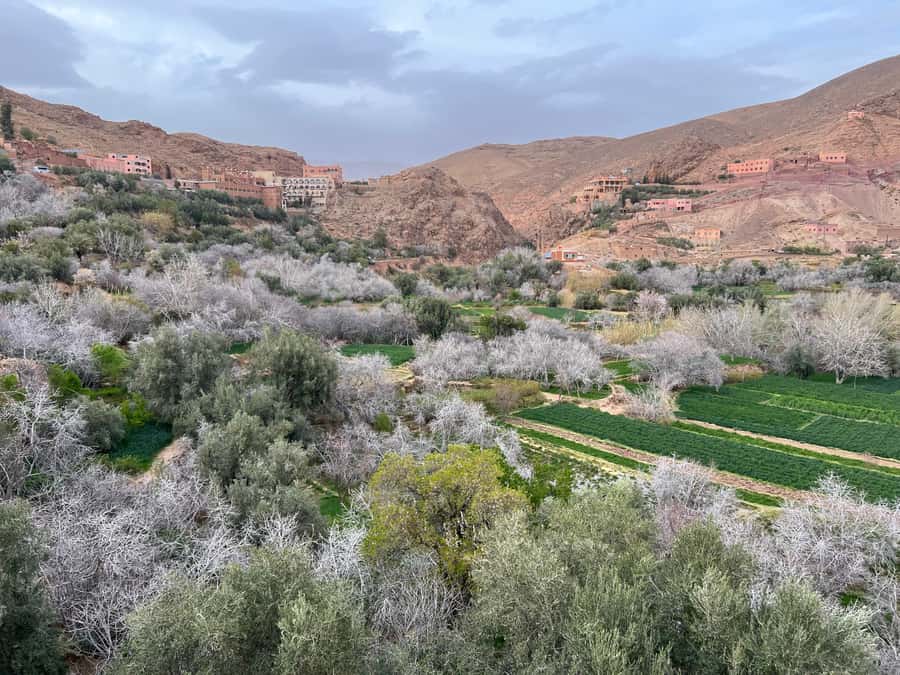 2 Days Trip From Marrakech To Ouarzazate & Dades Valley - Ouarzazate, Morocco’s film center