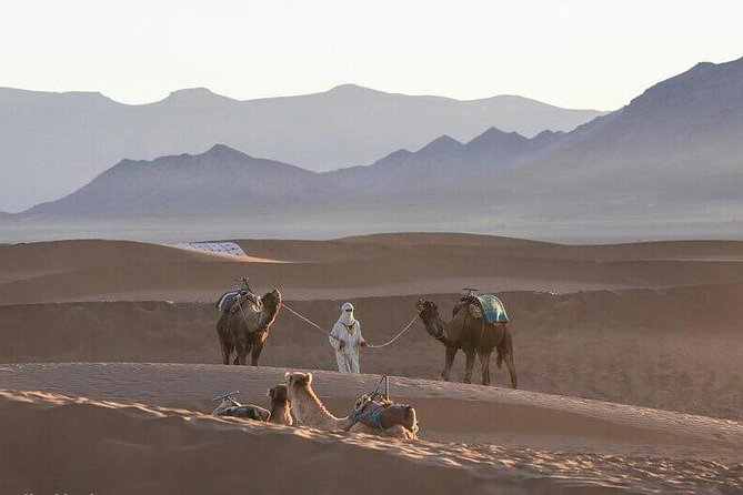 2-Days Zagora desert tour from Marrakech - Ait Ben Haddou and its earthen walls