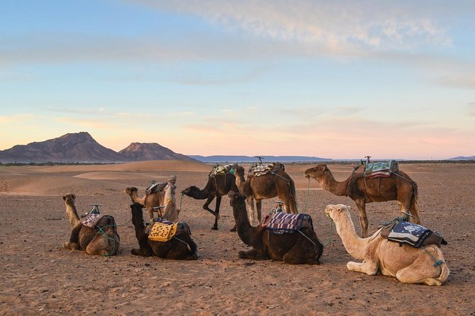2-Days Zagora desert tour from Marrakech - What the $92.95 price really covers