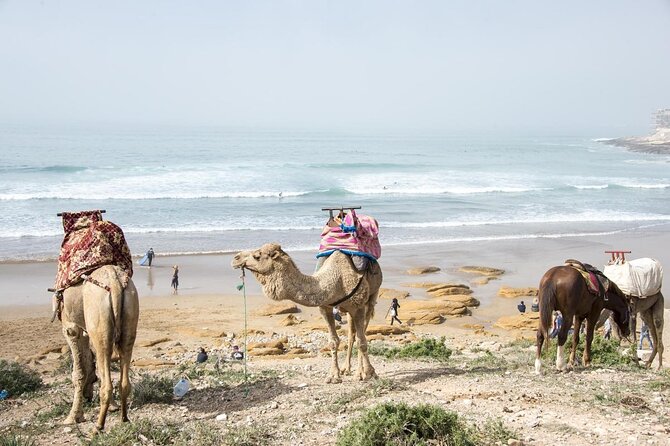 2 Hours Activity Surfing lessons in Taghazout - Key points at a glance