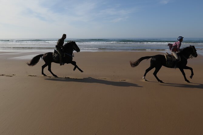 2 hours horse ride beach and dunes in Essaouira Morocco - From Diabat to the Atlantic shore