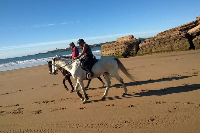 2 hours horse ride beach and dunes in Essaouira Morocco - How the horses and safety setup are handled