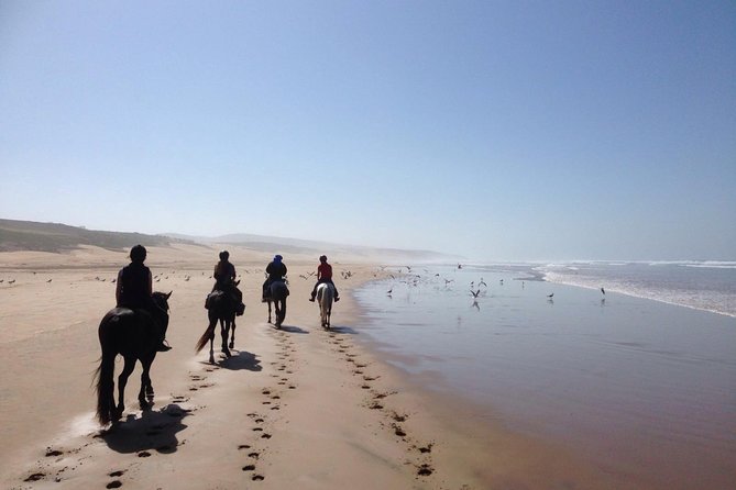 2 hours horse ride beach and dunes in Essaouira Morocco - What the two-hour route feels like