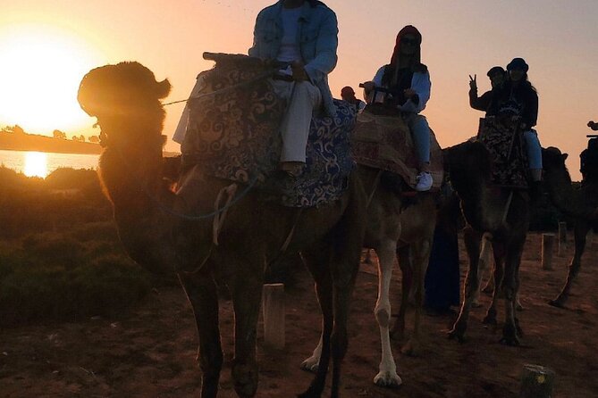 2 Hours Private Camel Ride in Agadir - From your Agadir hotel to the camel ranch