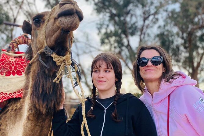 2 Hours Private Camel Ride in Agadir - Palace views, villages, and changing scenery