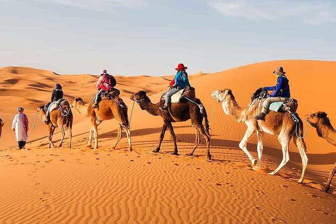 2Days Share Tour From Fes To Marrakech Or Fes Via Sahara & camel - Leaving Fes for Ifrane and the Middle Atlas
