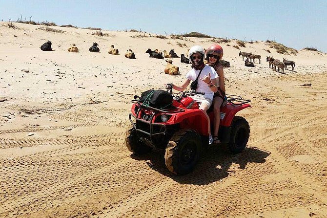 2h quad bike on the beach and in the dunes - Returning through the forest tracks