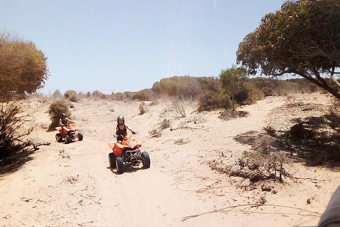 2h quad bike on the beach and in the dunes - Crossing Diabat and heading south