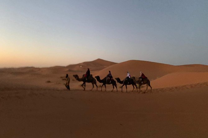 3-Day Desert Tour to Fez: Ouarzazate and Berber Village from Marrakech - Todgha Gorge and the road to Merzouga